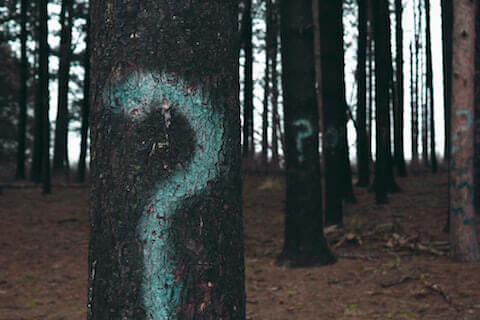Pictures of trees with question marks depicting doubt